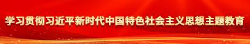 美女蹭大逼B学习贯彻习近平新时代中国特色社会主义思想主题教育